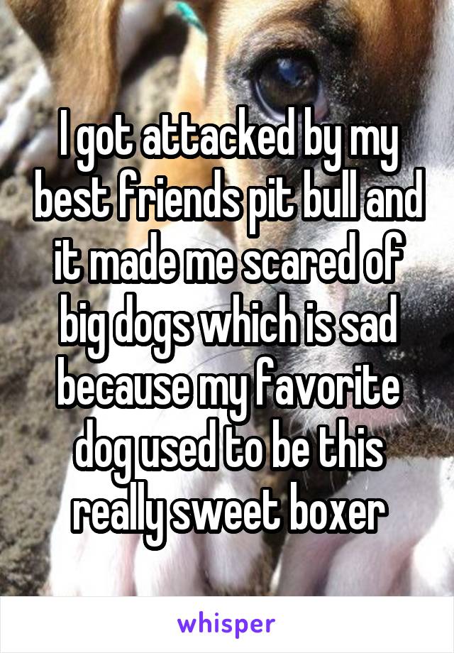I got attacked by my best friends pit bull and it made me scared of big dogs which is sad because my favorite dog used to be this really sweet boxer