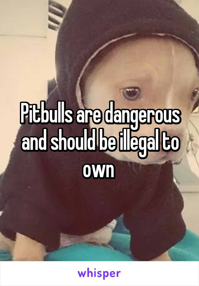 Pitbulls are dangerous and should be illegal to own 