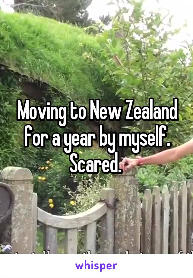 Moving to New Zealand for a year by myself. Scared. 