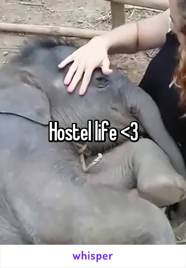 Hostel life <3