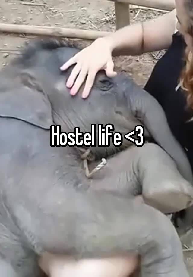 Hostel life <3