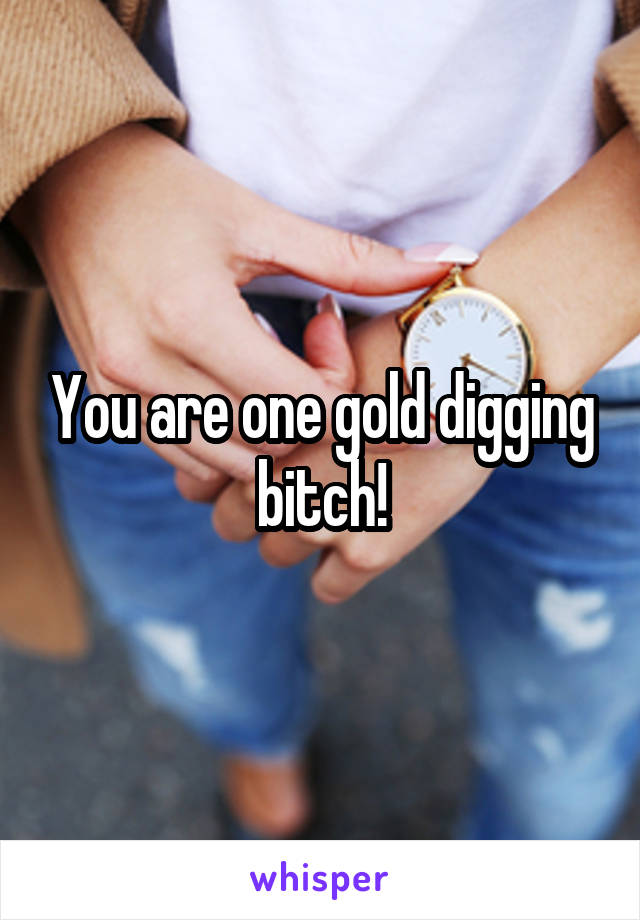 You are one gold digging bitch!