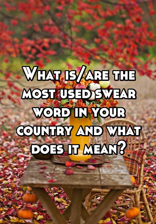 what-is-are-the-most-used-swear-word-in-your-country-and-what-does-it-mean