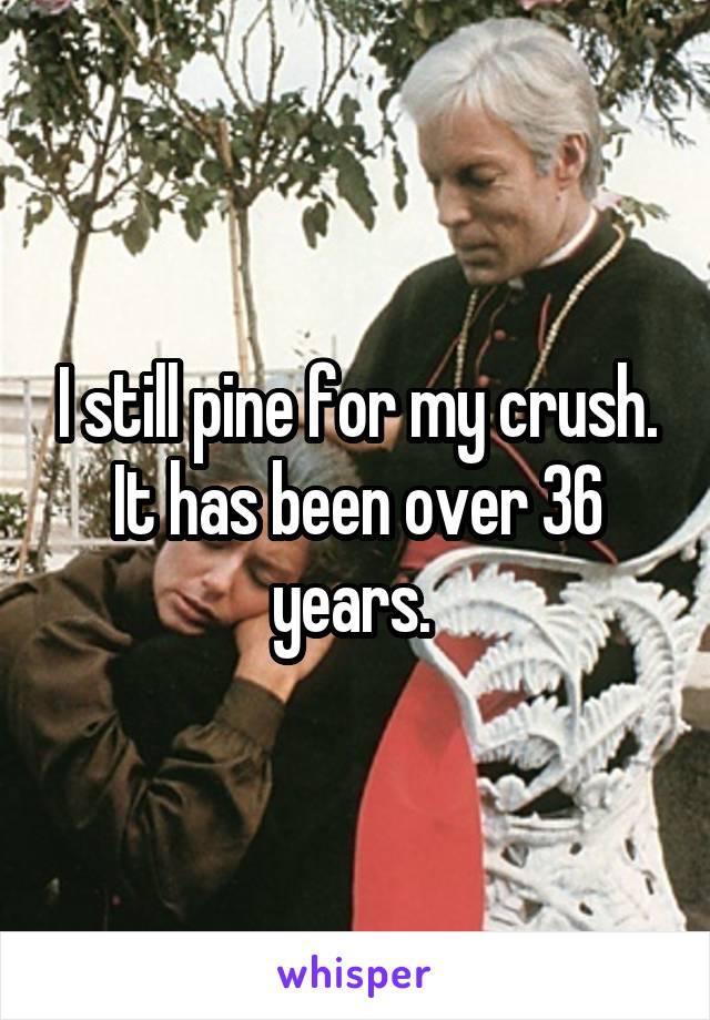 I still pine for my crush. It has been over 36 years. 