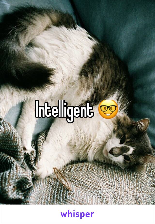 Intelligent 🤓 