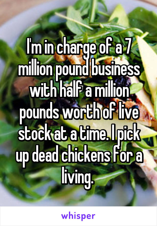 I'm in charge of a 7 million pound business with half a million pounds worth of live stock at a time. I pick up dead chickens for a living. 