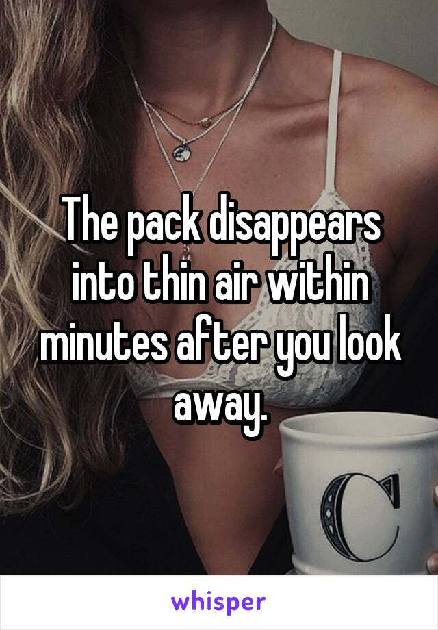 The pack disappears into thin air within minutes after you look away.