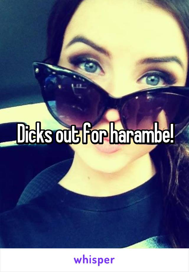 Dicks out for harambe!