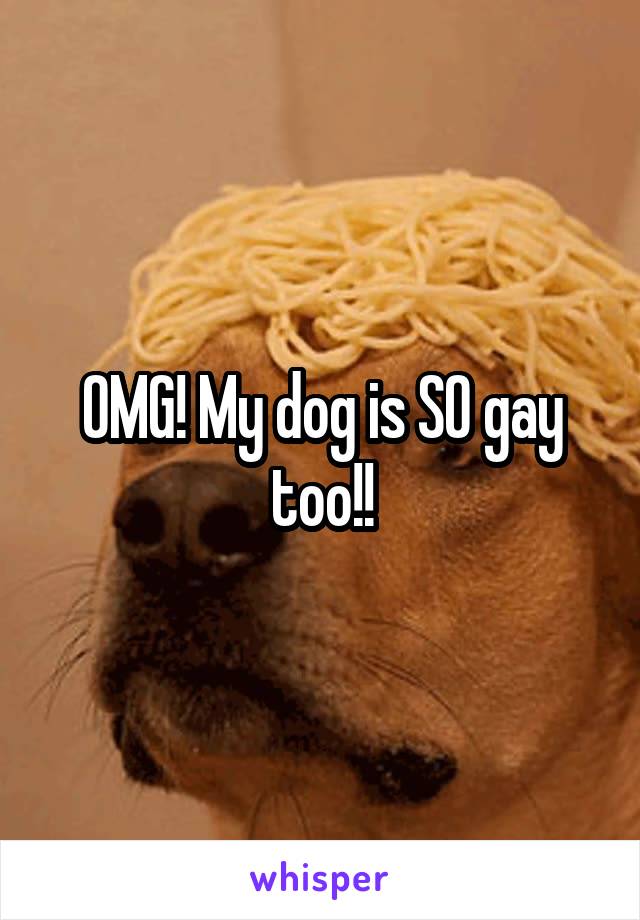 OMG! My dog is SO gay too!!