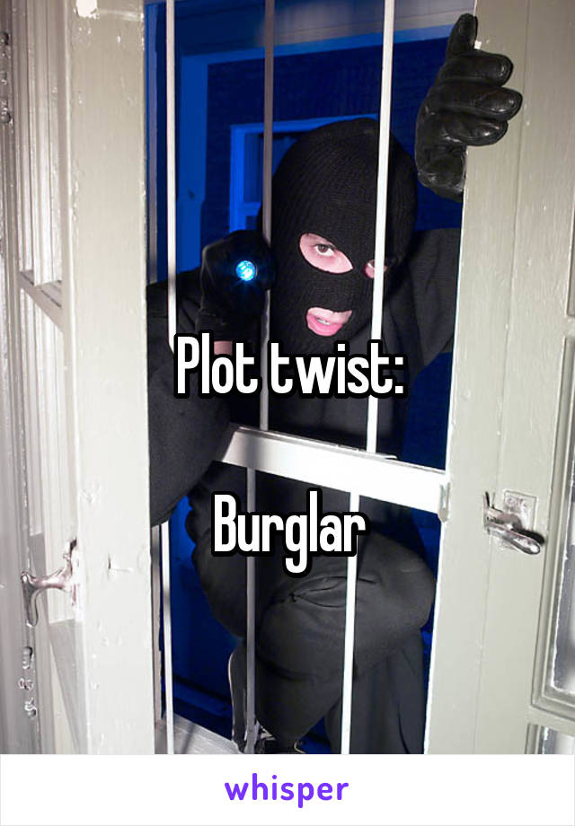 
Plot twist:

Burglar