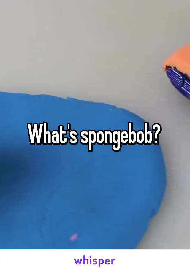 What's spongebob? 