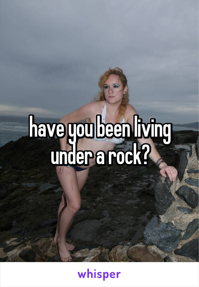 have you been living under a rock?