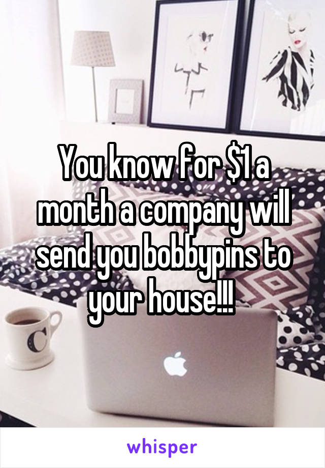 You know for $1 a month a company will send you bobbypins to your house!!! 