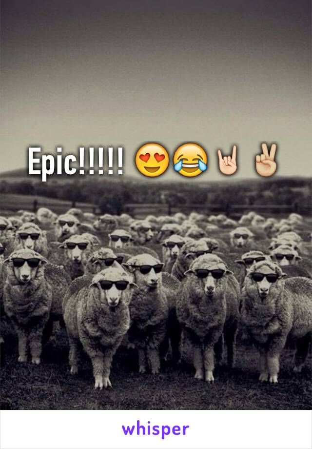 Epic!!!!! 😍😂🤘🏻✌🏼️