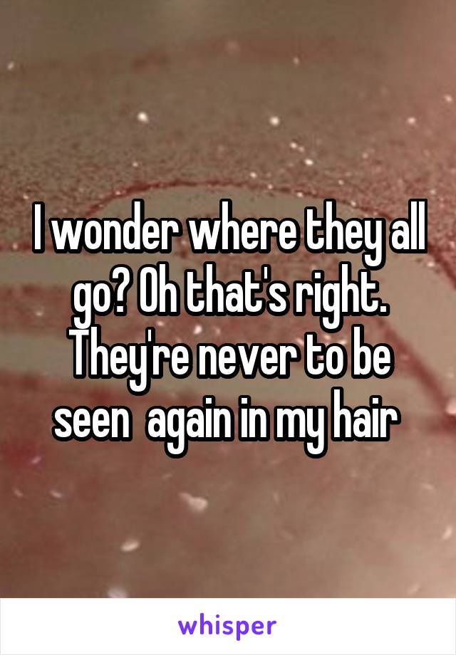 I wonder where they all go? Oh that's right. They're never to be seen  again in my hair 