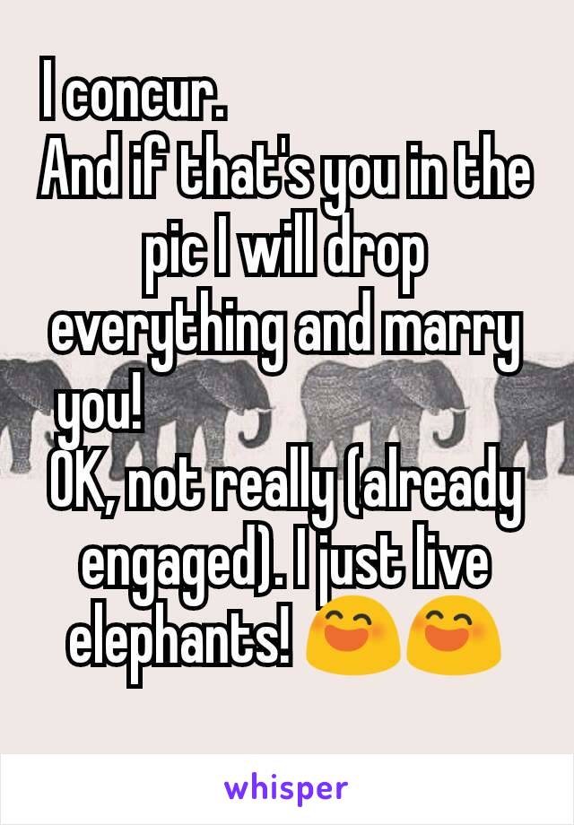 I concur.                          
And if that's you in the pic I will drop everything and marry you!                                
OK, not really (already engaged). I just live    elephants! 😄😄