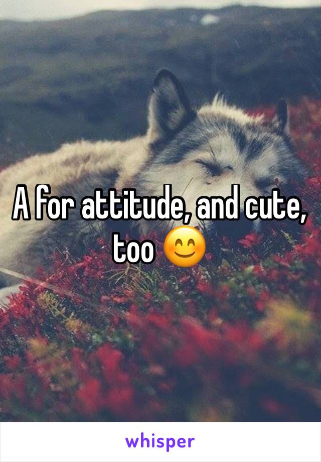 A for attitude, and cute, too 😊