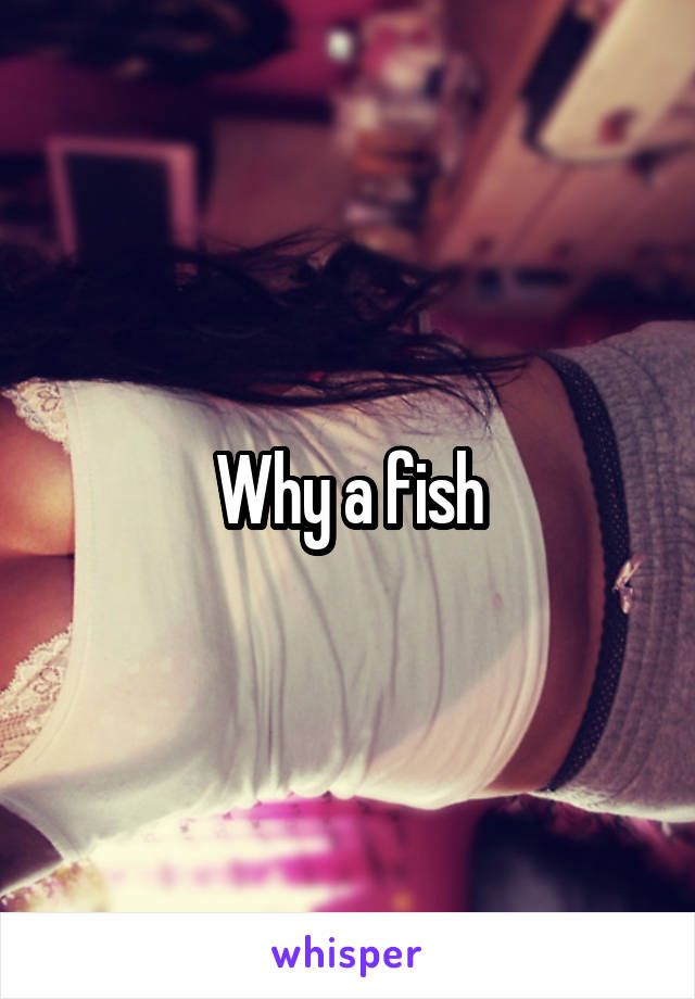 Why a fish