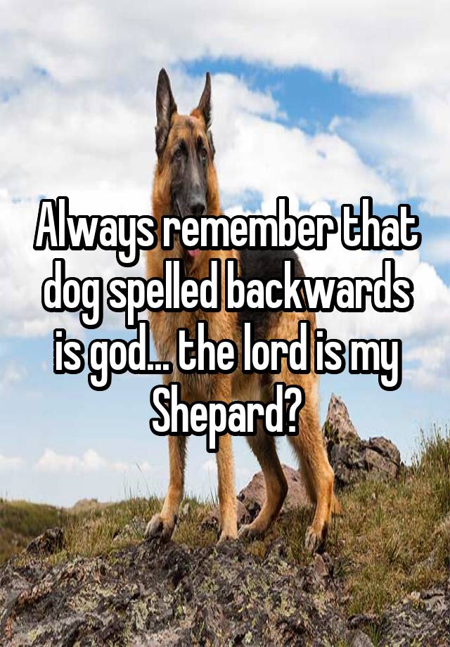 Always remember that dog spelled backwards is god... the lord is my Shepard?