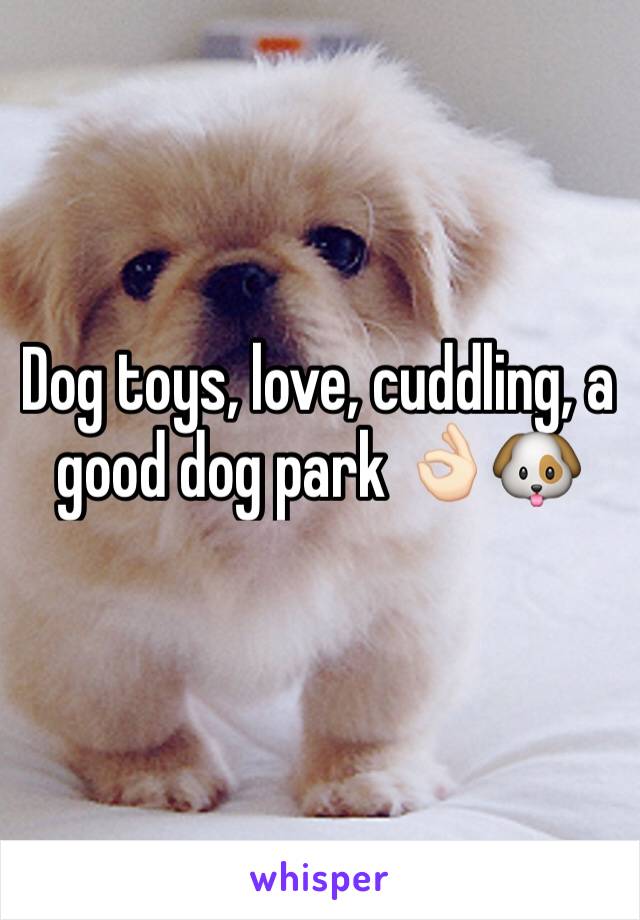 Dog toys, love, cuddling, a good dog park 👌🏻🐶