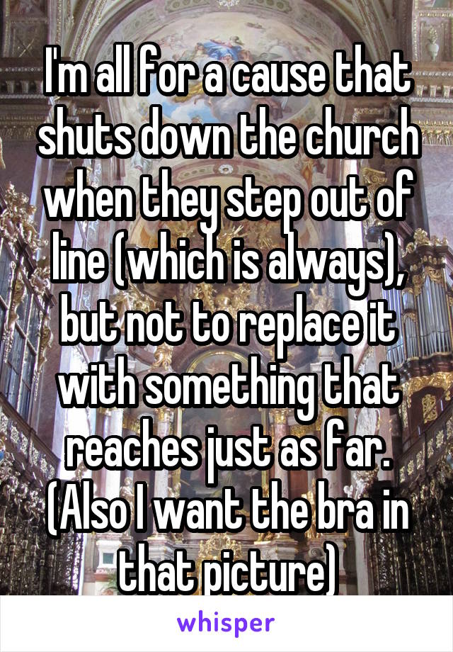 I'm all for a cause that shuts down the church when they step out of line (which is always), but not to replace it with something that reaches just as far. (Also I want the bra in that picture)