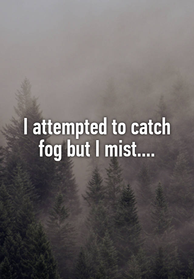 I Attempted To Catch Fog But I Mist
