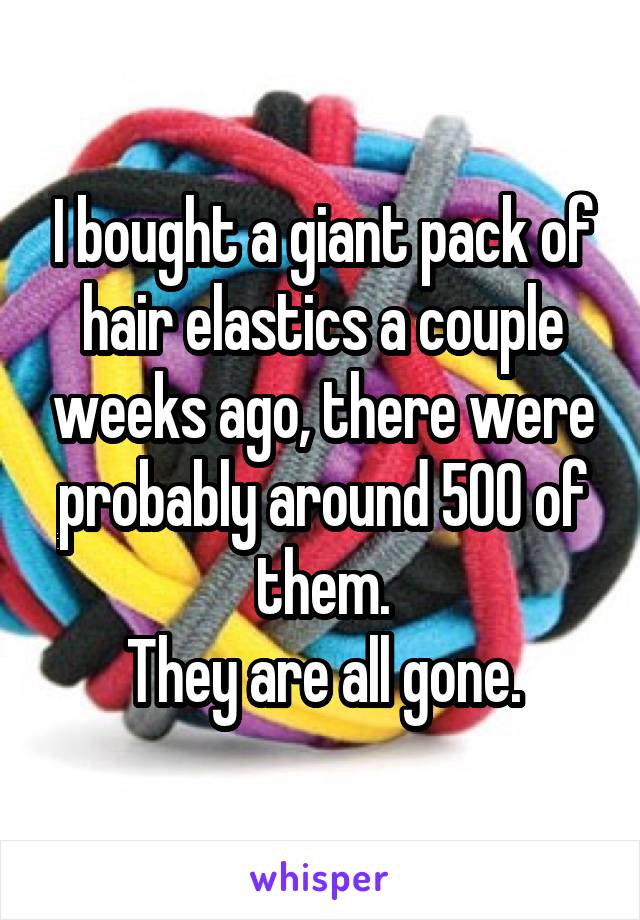 I bought a giant pack of hair elastics a couple weeks ago, there were probably around 500 of them.
They are all gone.