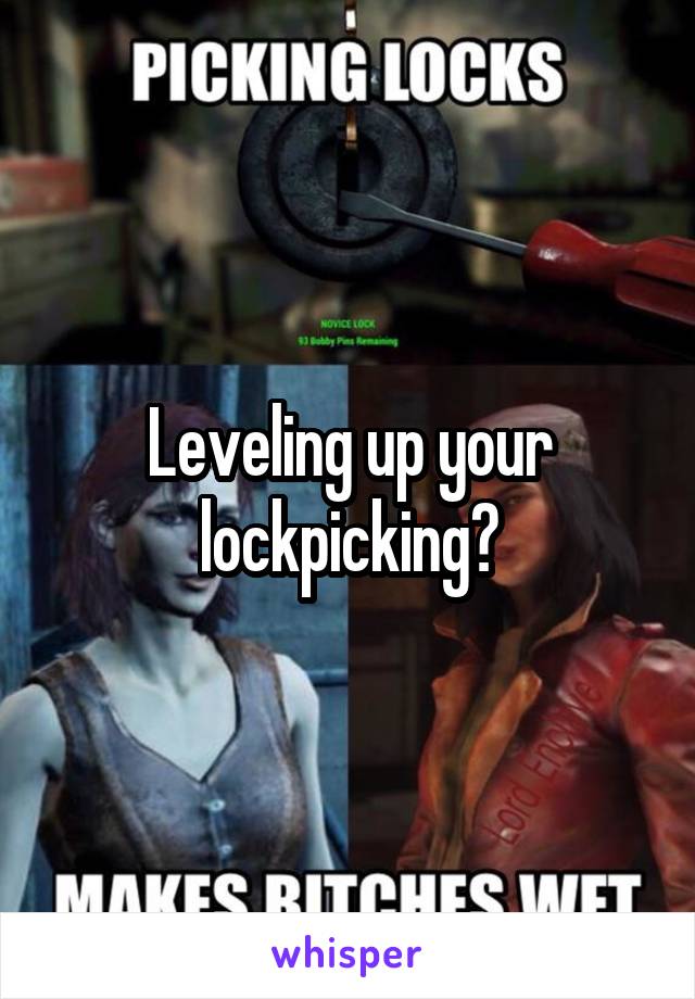 Leveling up your lockpicking?