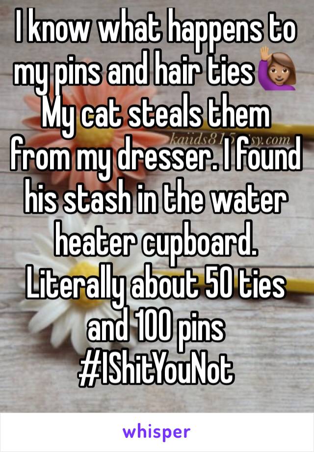 I know what happens to my pins and hair ties🙋🏽
My cat steals them from my dresser. I found his stash in the water heater cupboard. Literally about 50 ties and 100 pins #IShitYouNot
