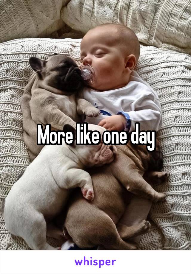 More like one day