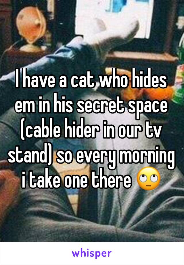 I have a cat who hides em in his secret space (cable hider in our tv stand) so every morning i take one there 🙄