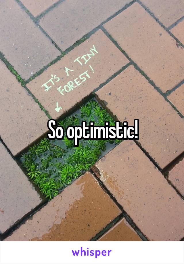 So optimistic!