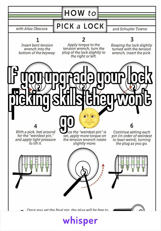 If you upgrade your lock picking skills they won't go 🌝