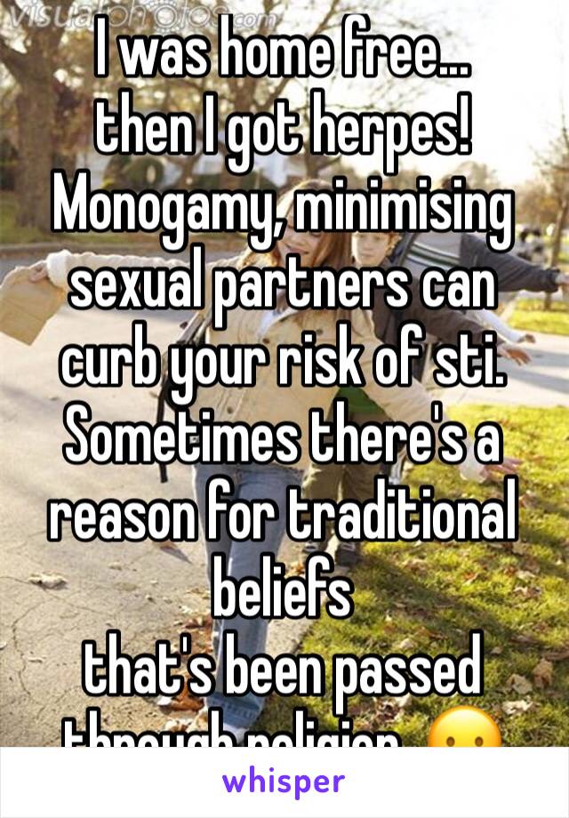 I was home free...
then I got herpes!
Monogamy, minimising sexual partners can curb your risk of sti. 
Sometimes there's a reason for traditional beliefs 
that's been passed through religion. 😦