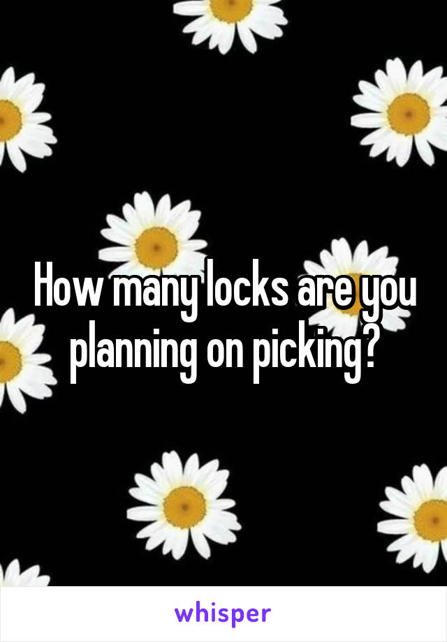 How many locks are you planning on picking?