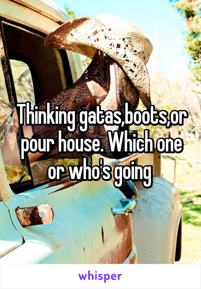 Thinking gatas,boots,or pour house. Which one or who's going 