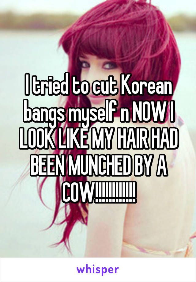 I tried to cut Korean bangs myself n NOW I LOOK LIKE MY HAIR HAD BEEN MUNCHED BY A COW!!!!!!!!!!!!