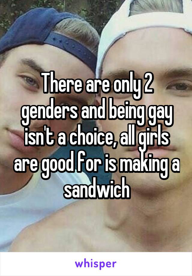 There are only 2 genders and being gay isn't a choice, all girls are good for is making a sandwich