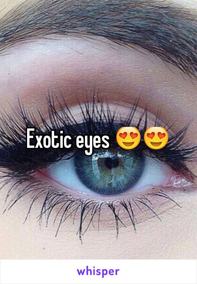 Exotic eyes 😍😍