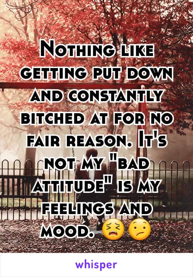 Nothing like getting put down and constantly bitched at for no fair reason. It's not my "bad attitude" is my feelings and mood. 😣😕