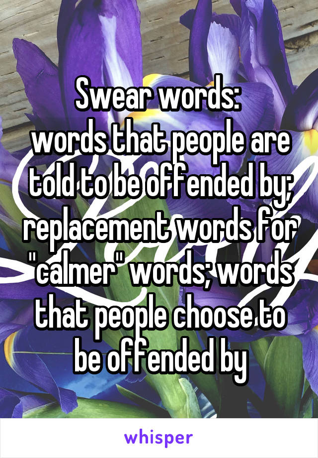 Swear words: 
words that people are told to be offended by; replacement words for "calmer" words; words that people choose to be offended by