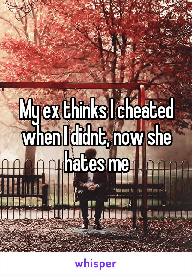 My ex thinks I cheated when I didnt, now she hates me