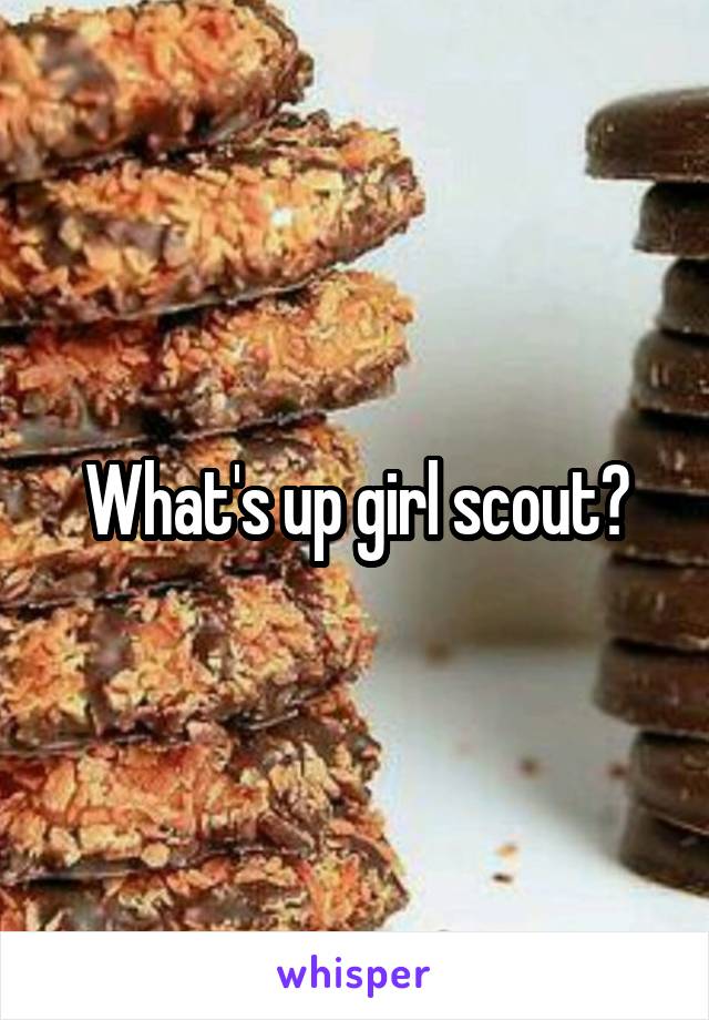 What's up girl scout?