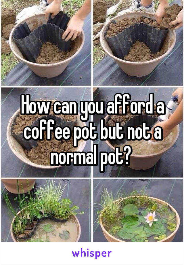 How can you afford a coffee pot but not a normal pot? 