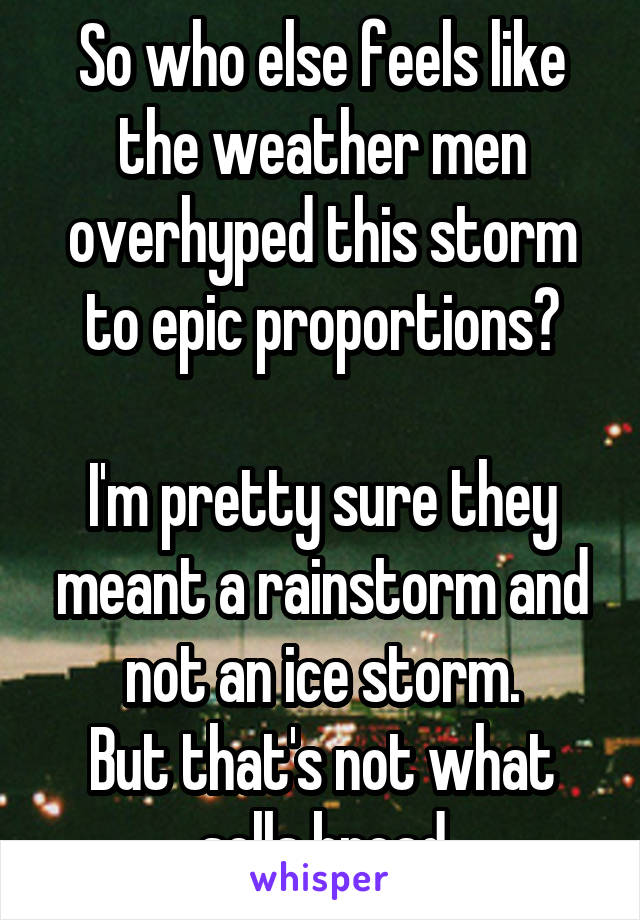 So who else feels like the weather men overhyped this storm to epic proportions?

I'm pretty sure they meant a rainstorm and not an ice storm.
But that's not what sells bread