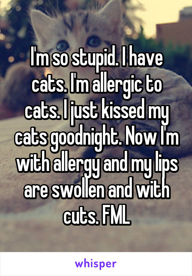 I'm so stupid. I have cats. I'm allergic to cats. I just kissed my cats goodnight. Now I'm with allergy and my lips are swollen and with cuts. FML