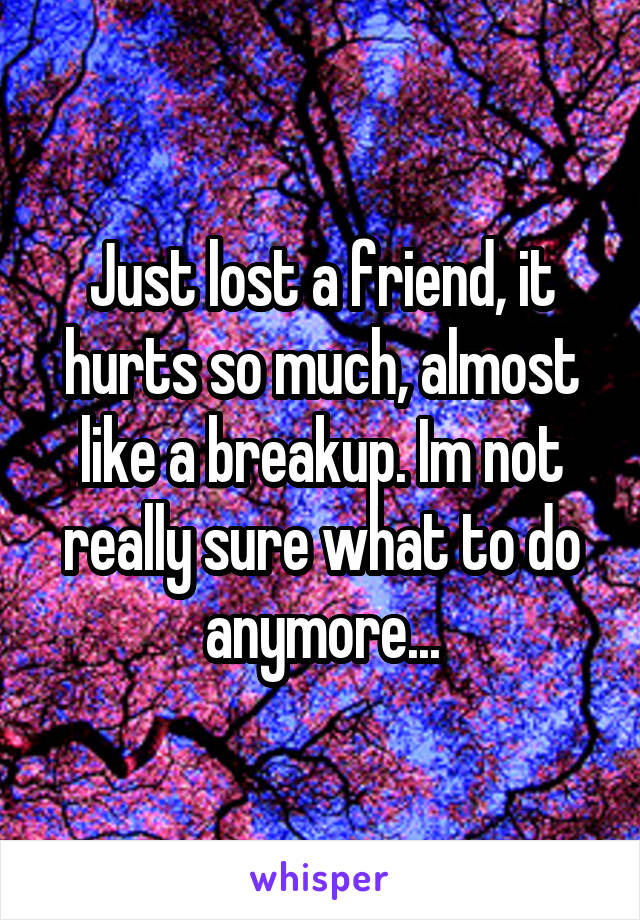 Just lost a friend, it hurts so much, almost like a breakup. Im not really sure what to do anymore...
