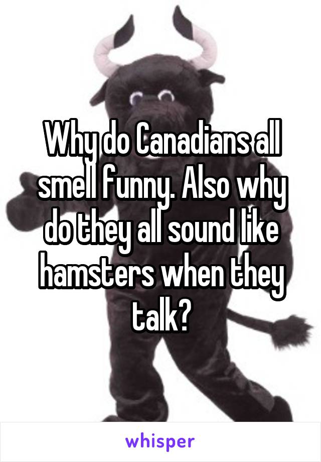 Why do Canadians all smell funny. Also why do they all sound like hamsters when they talk?