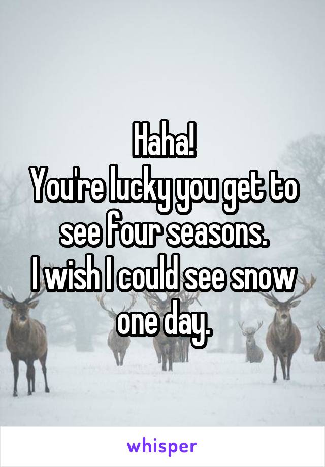 Haha!
You're lucky you get to see four seasons.
I wish I could see snow one day.