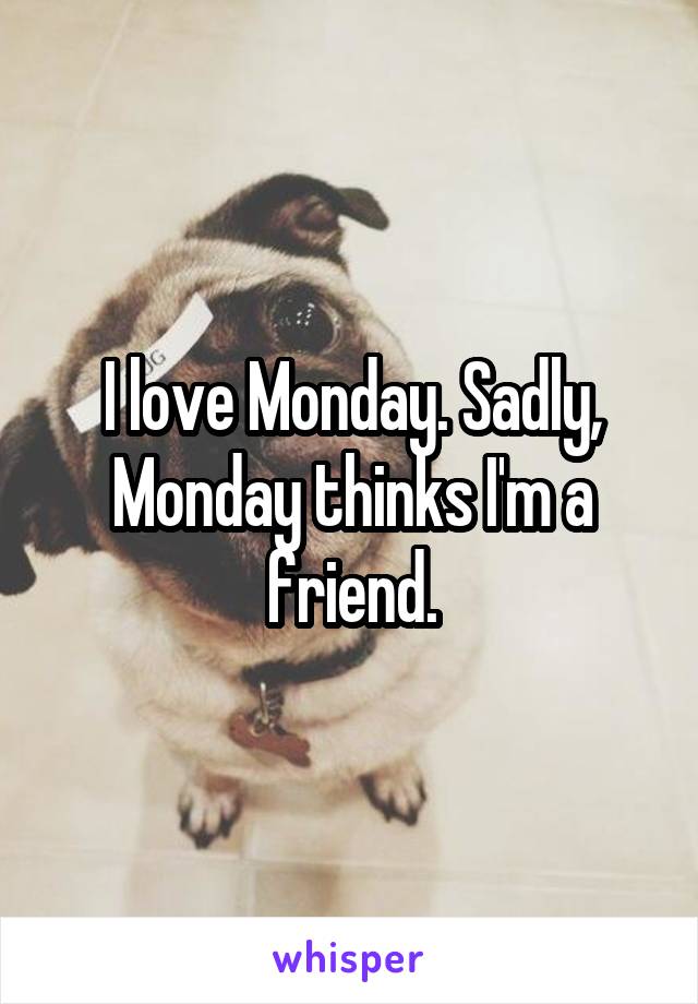 I love Monday. Sadly, Monday thinks I'm a friend.